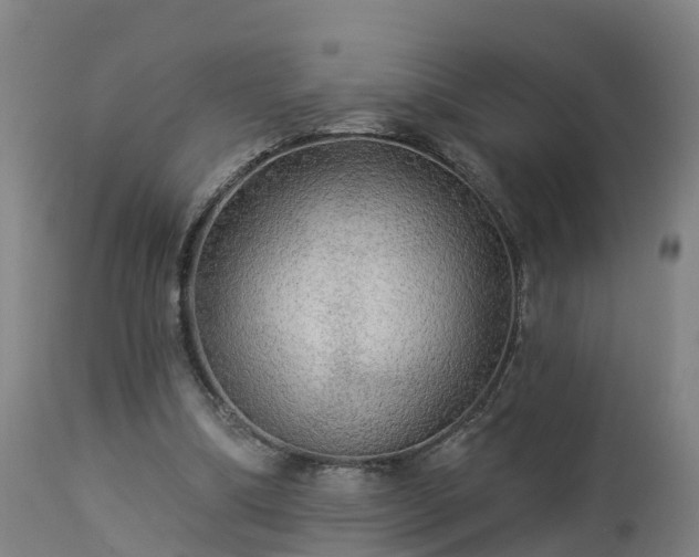 X0000112890298200908281707