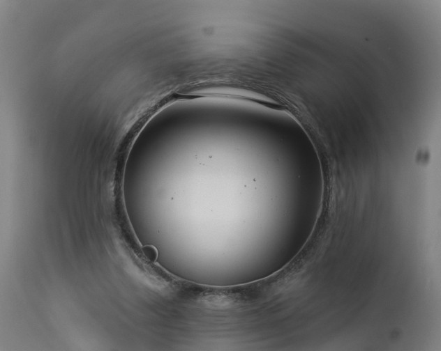 X0000112890299200908281707