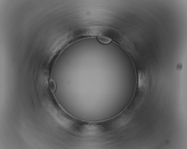 X0000112890300200908281707