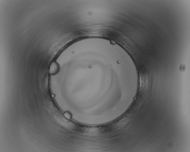 X0000112890301200908281707