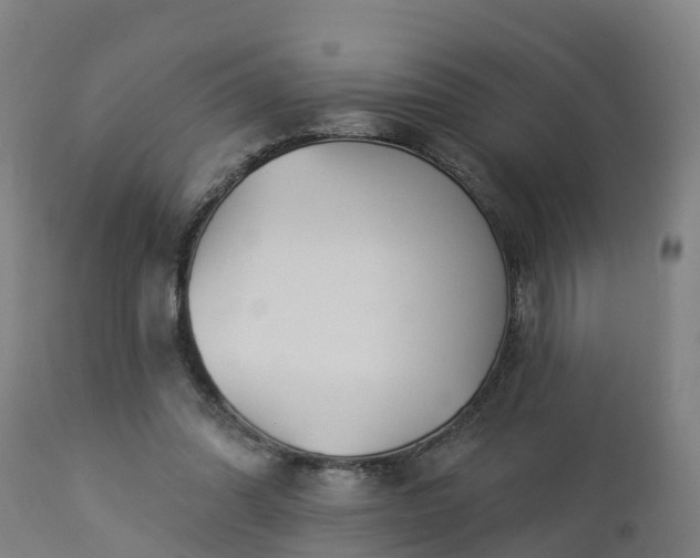 X0000112890302200908281707