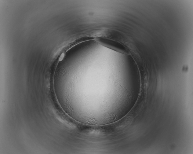 X0000112890303200908281707