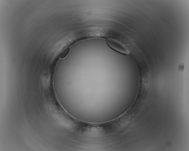 X0000112890304200908281707