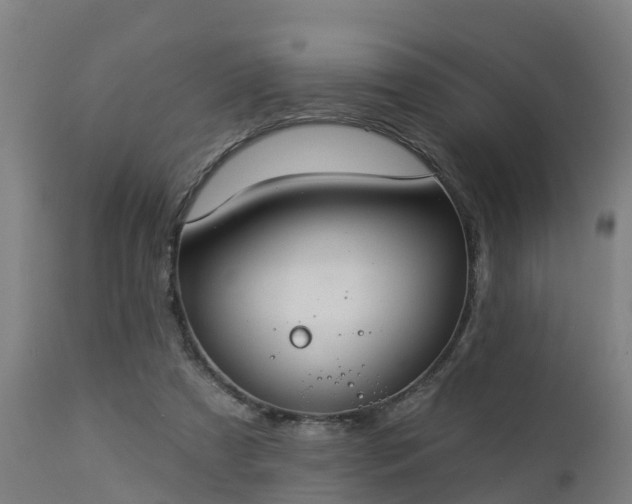 X0000112890305200908281707