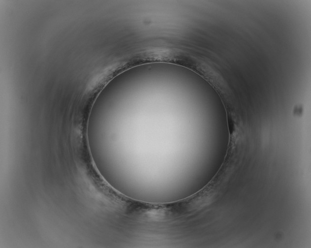 X0000112890306200908281707