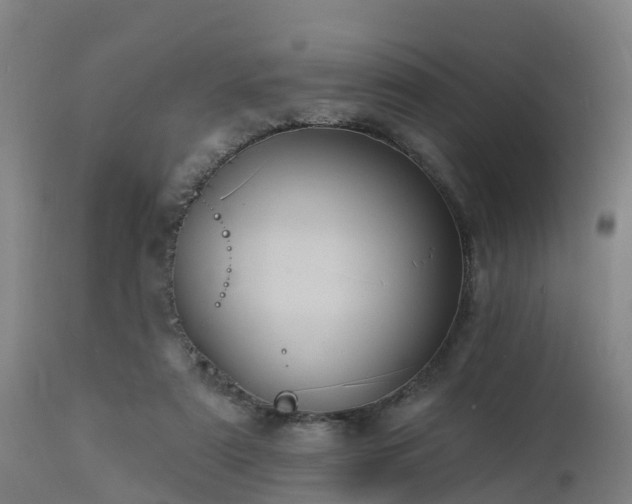 X0000112890307200908281707
