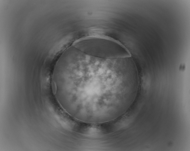 X0000112890308200908281707