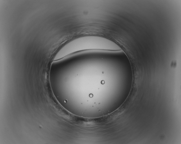 X0000112890309200908281707