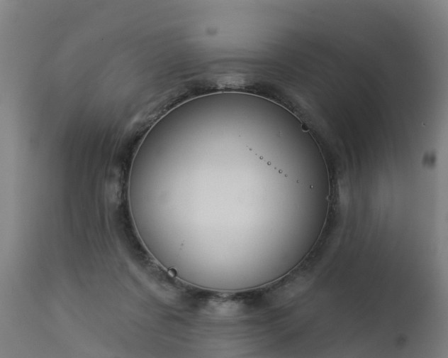 X0000112890311200908281707