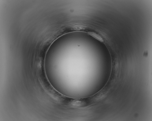 X0000112890315200908281707
