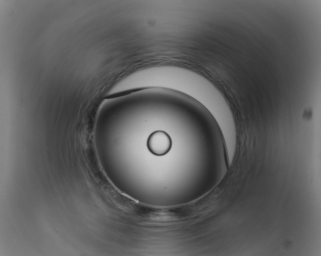X0000112890316200908281707