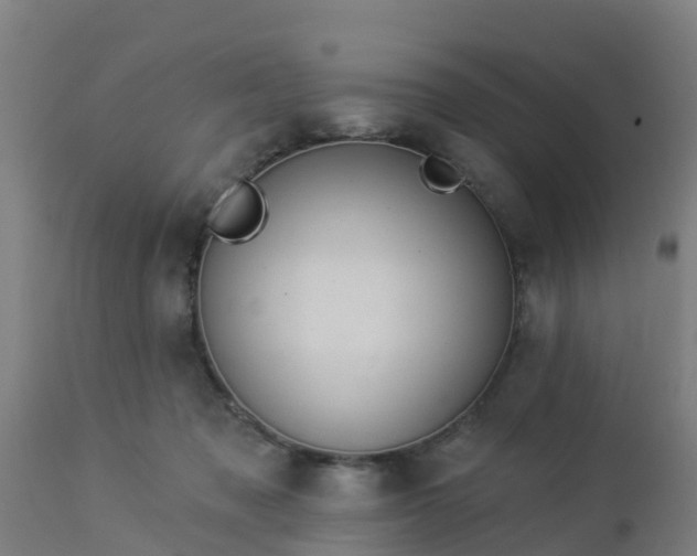 X0000112890317200908281707