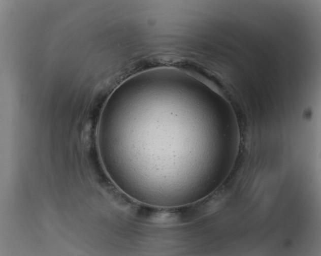 X0000112890319200908281707