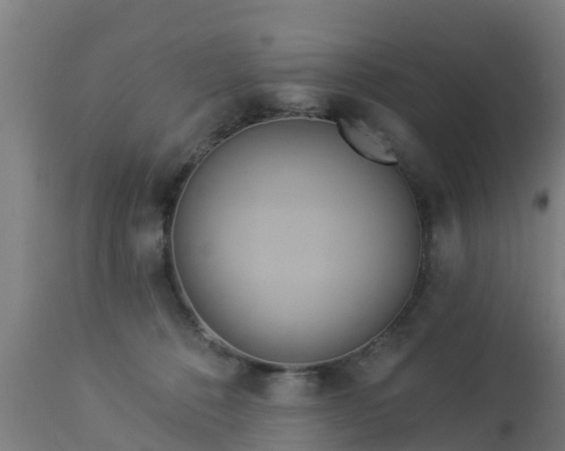 X0000112890320200908281707