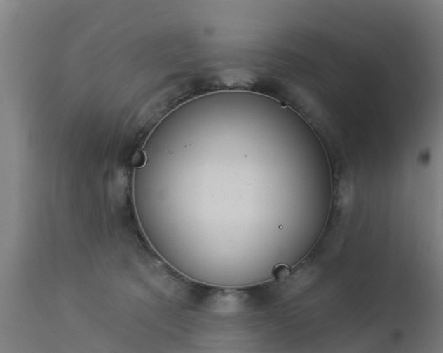 X0000112890321200908281707