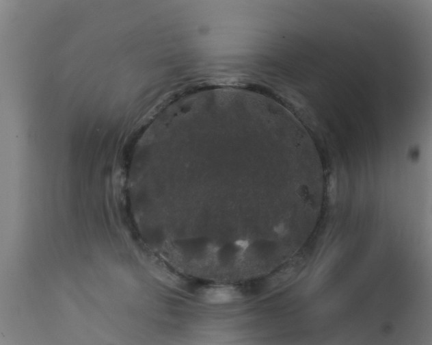 X0000112890322200908281707