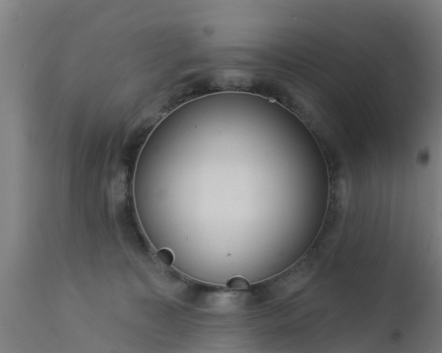 X0000112890323200908281707