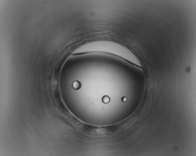 X0000112890324200908281707