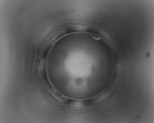 X0000112890325200908281707