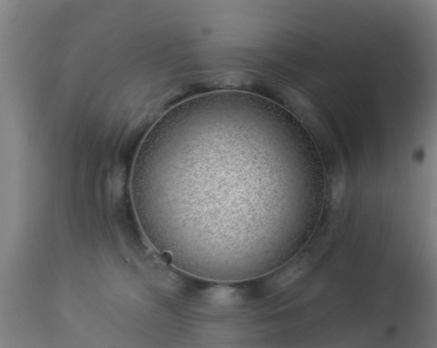 X0000112890326200908281707