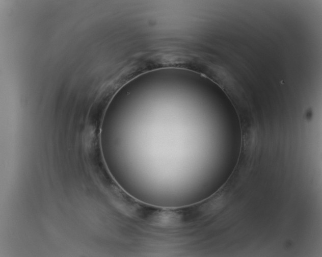 X0000112890327200908281707