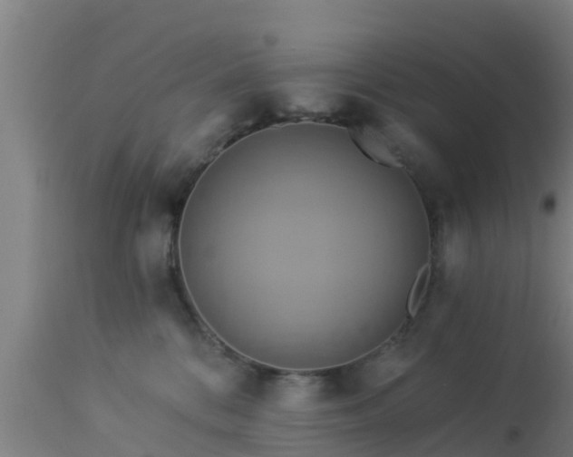 X0000112890328200908281707