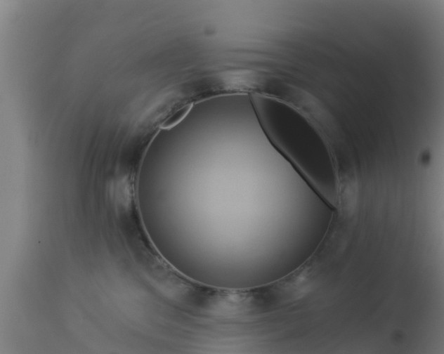X0000112890329200908281707