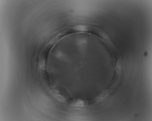 X0000112890330200908281707