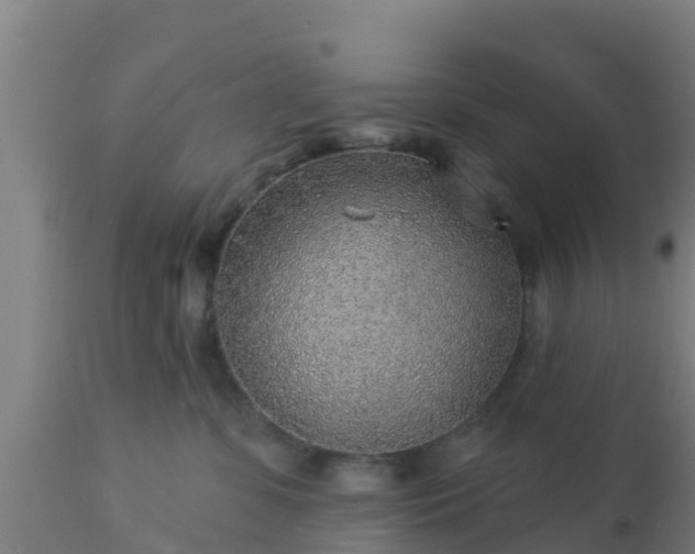 X0000112890331200908281706