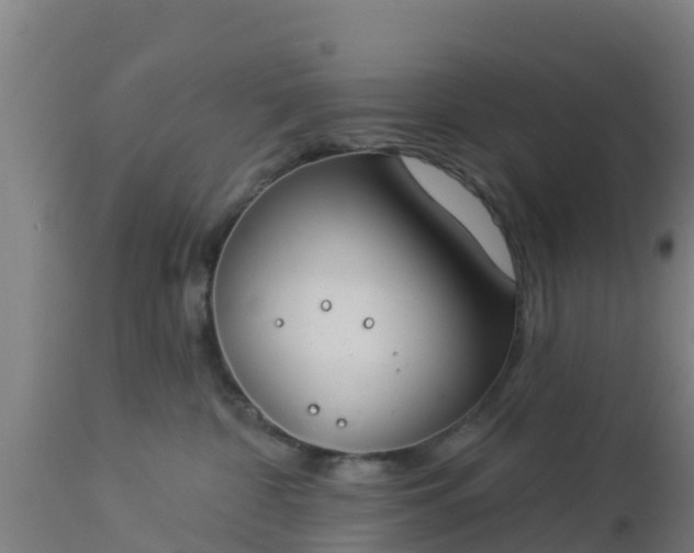 X0000112890332200908281706