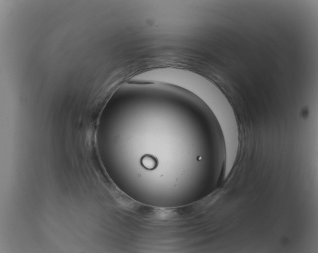 X0000112890333200908281706