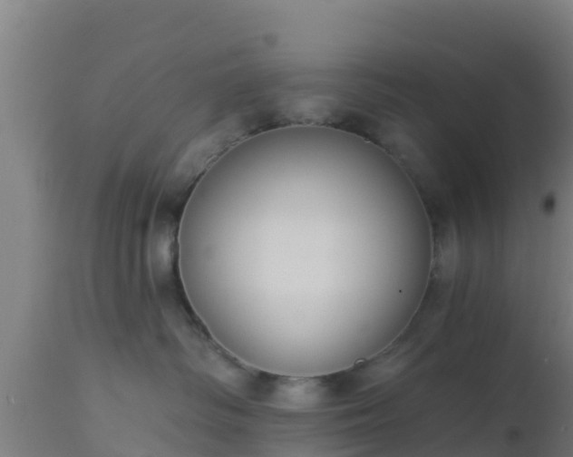 X0000112890334200908281706