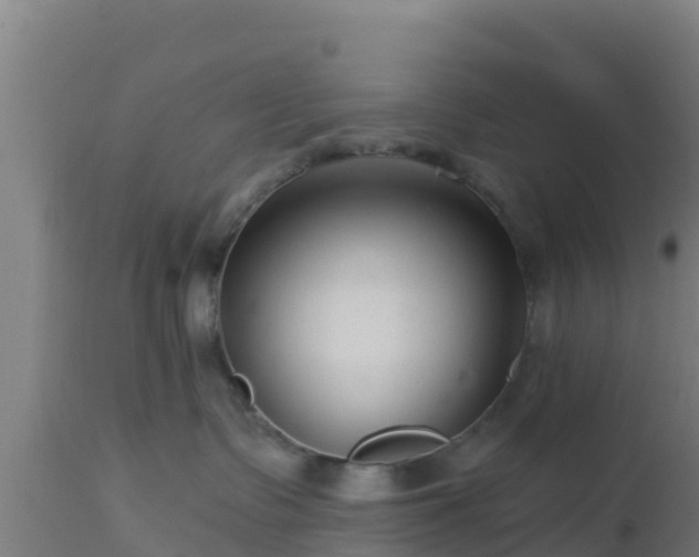 X0000112890335200908281706