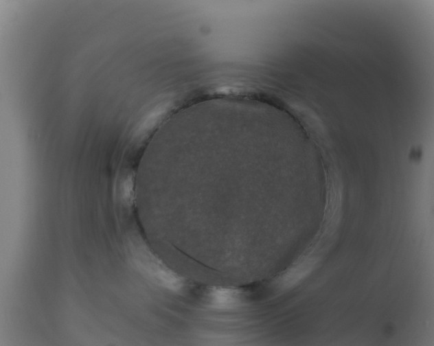 X0000112890336200908281706