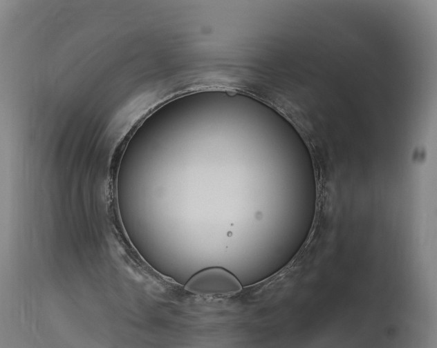 X0000112890338200908281706
