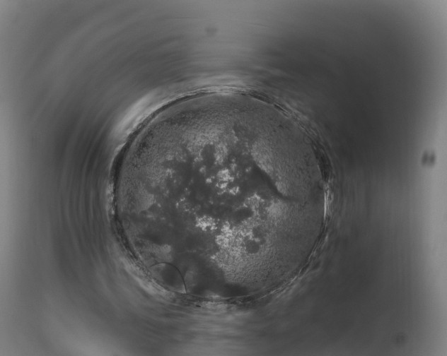 X0000112890339200908281706
