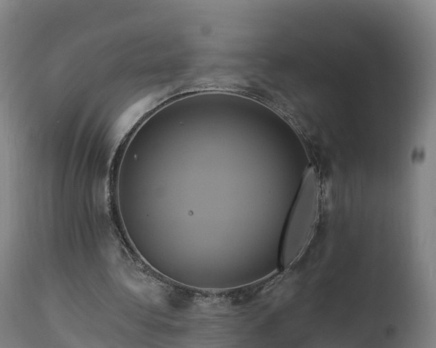 X0000112890340200908281706