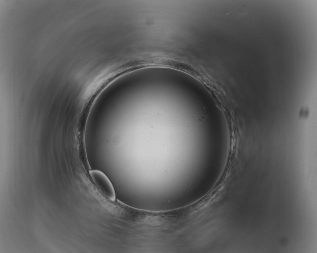 X0000112890341200908281706