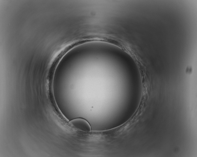 X0000112890342200908281706