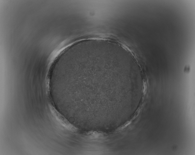 X0000112890343200908281706