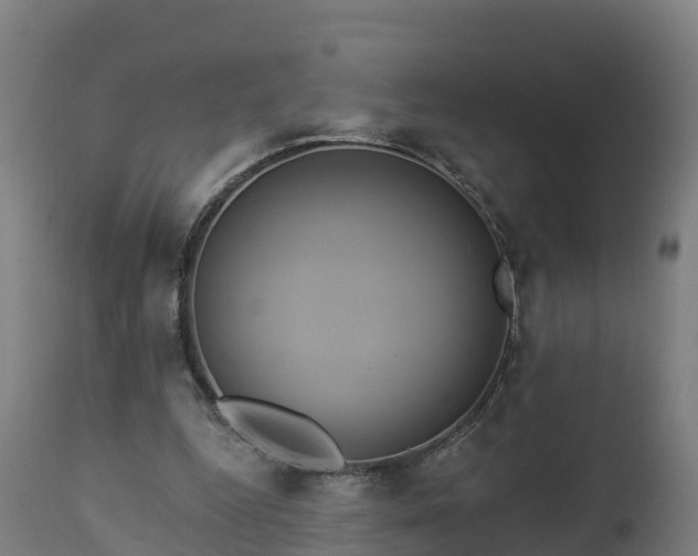 X0000112890344200908281706