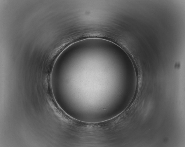 X0000112890345200908281706