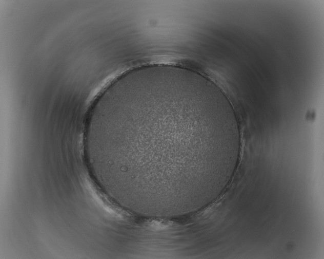 X0000112890346200908281706