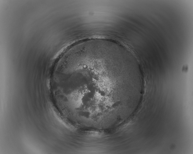 X0000112890347200908281706