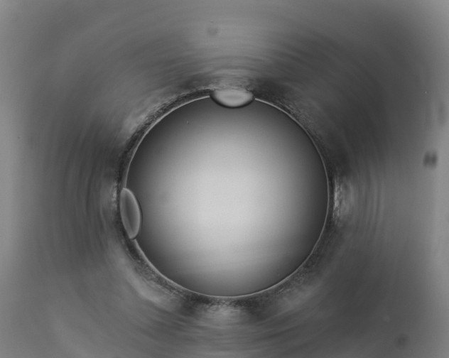 X0000112890348200908281706