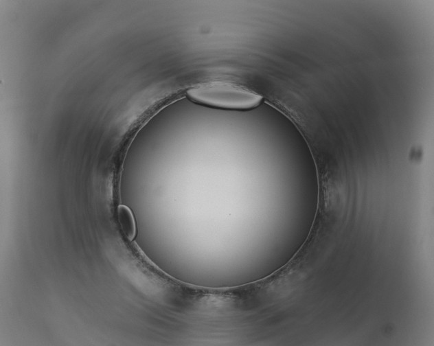 X0000112890350200908281706