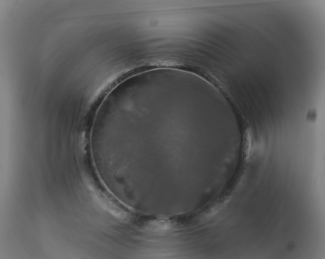 X0000112890351200908281706