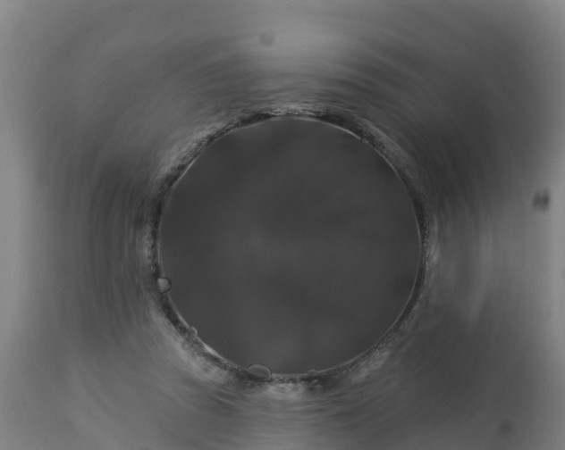 X0000112890353200908281706