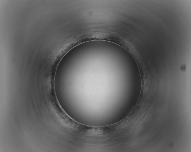 X0000112890354200908281706