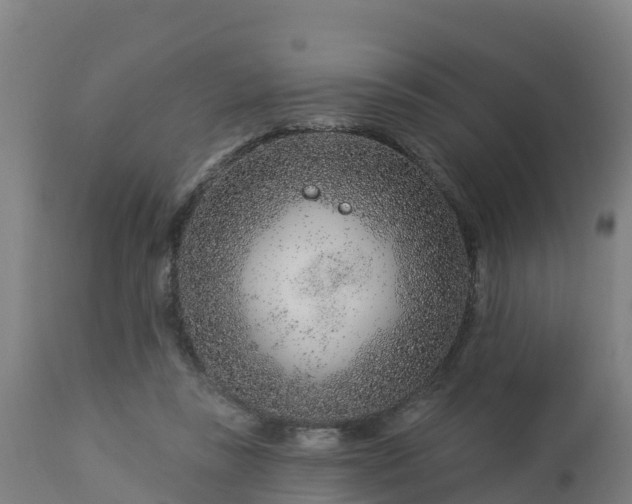 X0000112890355200908281706